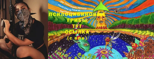 бошки Медногорск