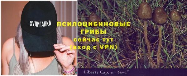 тгк Мегион
