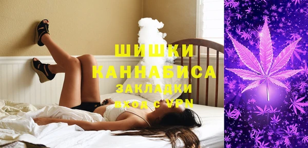 тгк Мегион