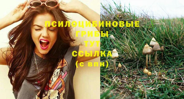 тгк Медвежьегорск
