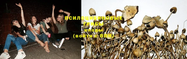 тгк Мегион